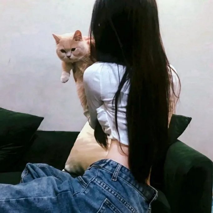 枯山水的波纹